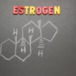 Oestrogeen